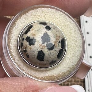 Magnolia and Vine 18mm Original Dalmatian Jasper Snap